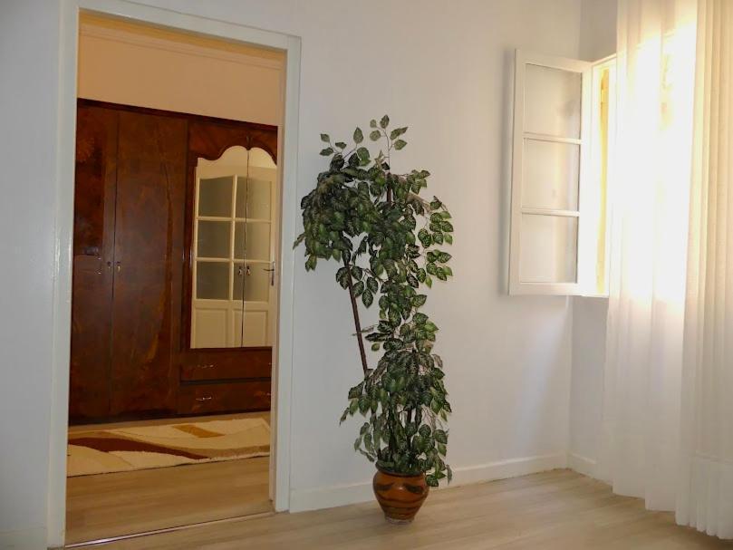 A Cozy Home Right In The Heart Of Tanger Kültér fotó